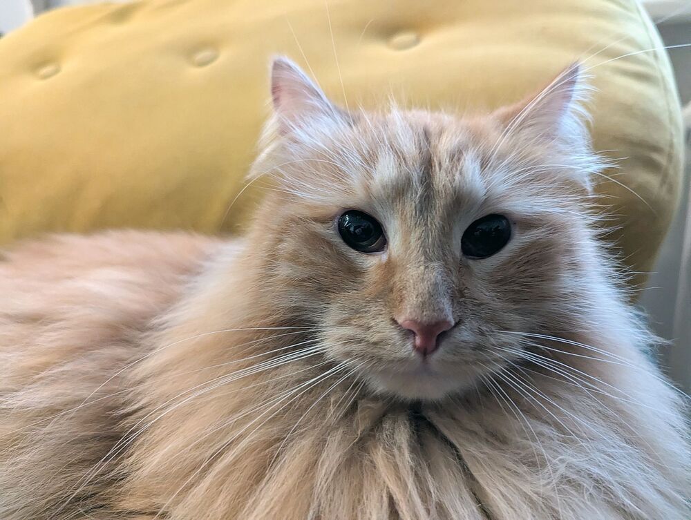 Photograph by Алексей Амилющенко