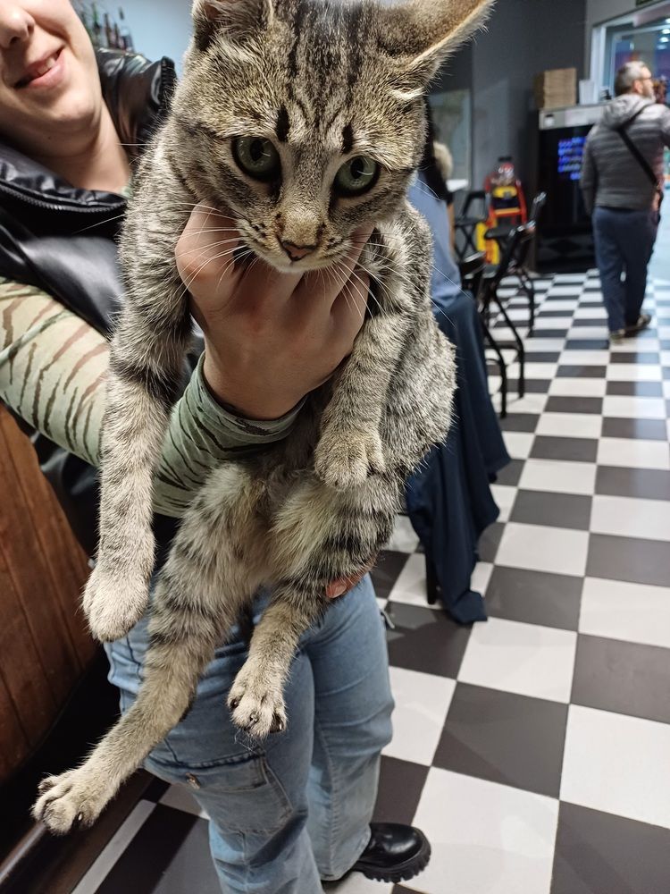 Photograph by Juan jose Sánchez gonzalez