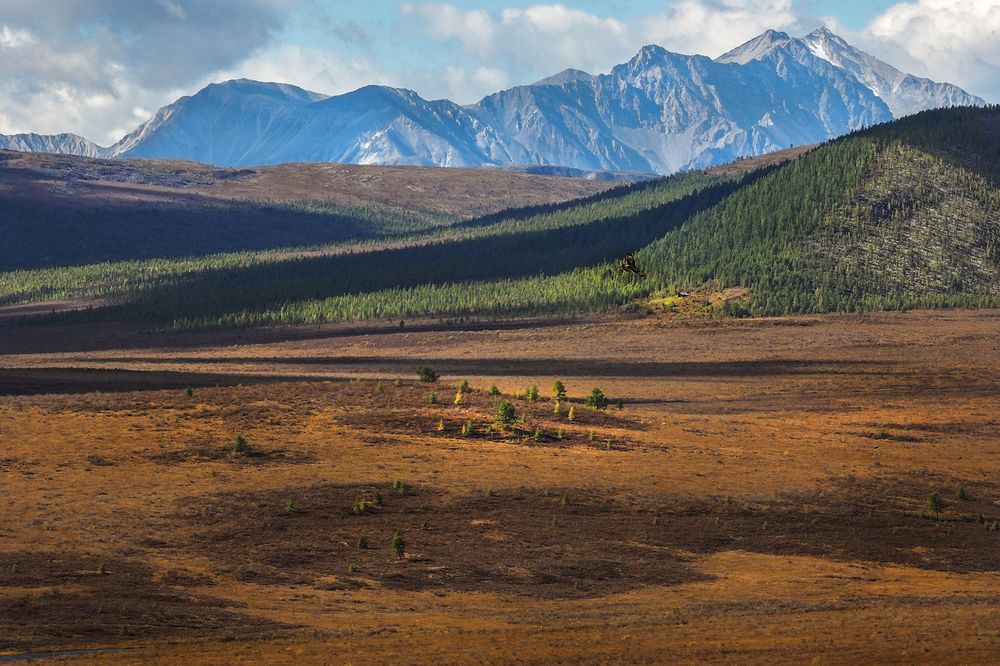 Фотография автора Александр Попов