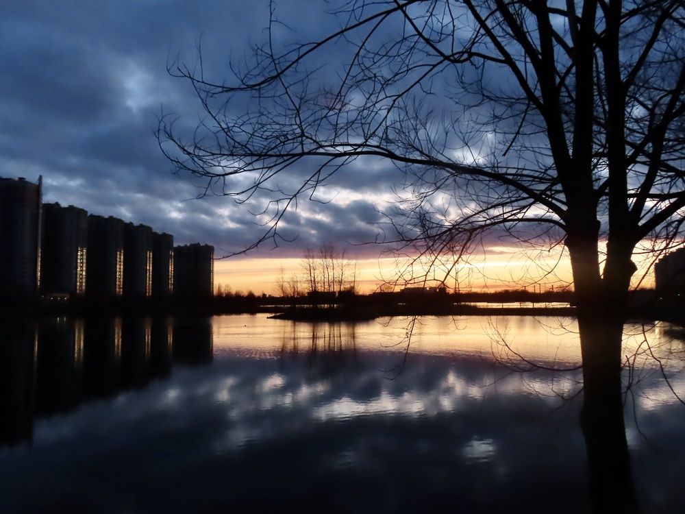 Photograph by Елена Жукова