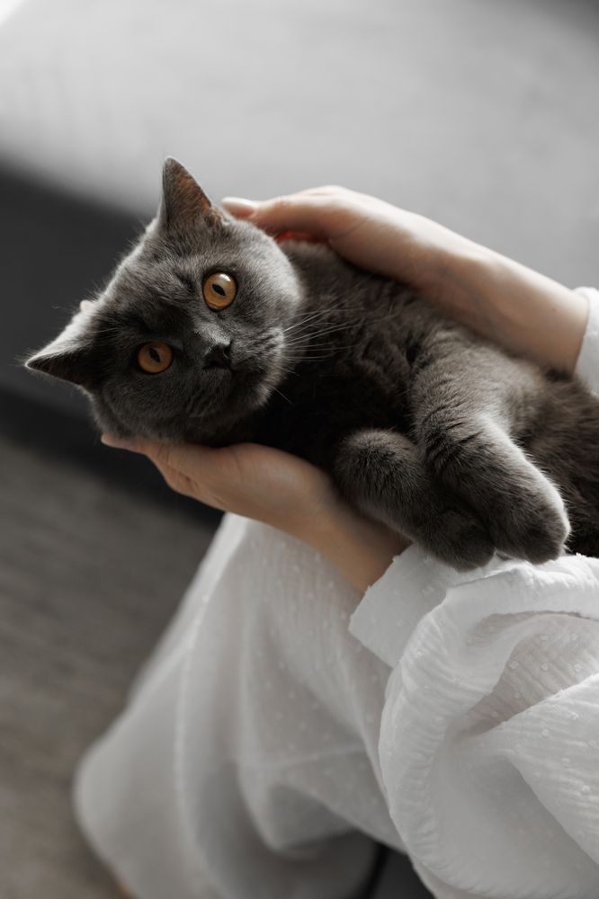 Photograph by Екатерина Хирдина