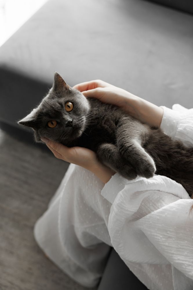 Photograph by Екатерина Хирдина