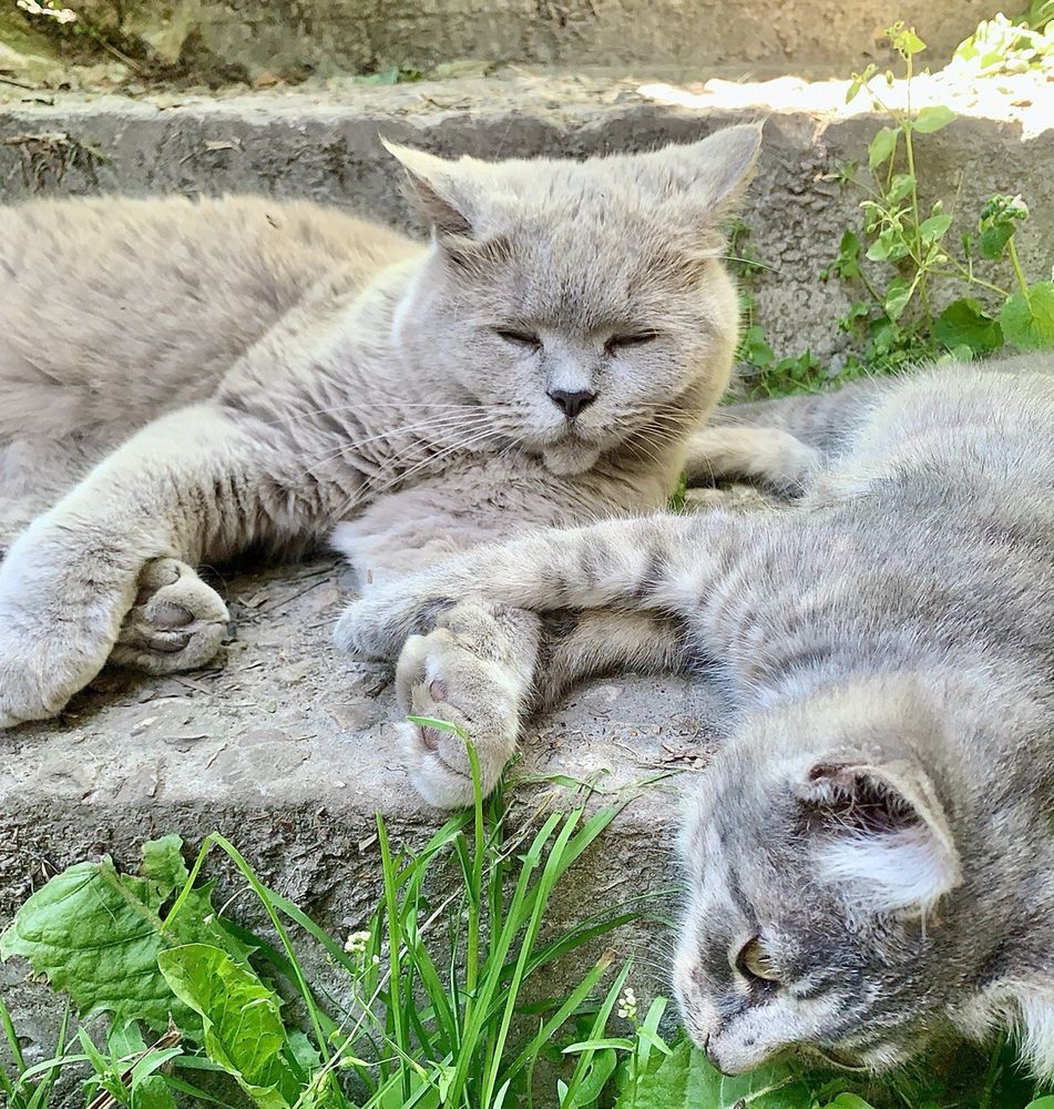 Photograph by Борис Соколов