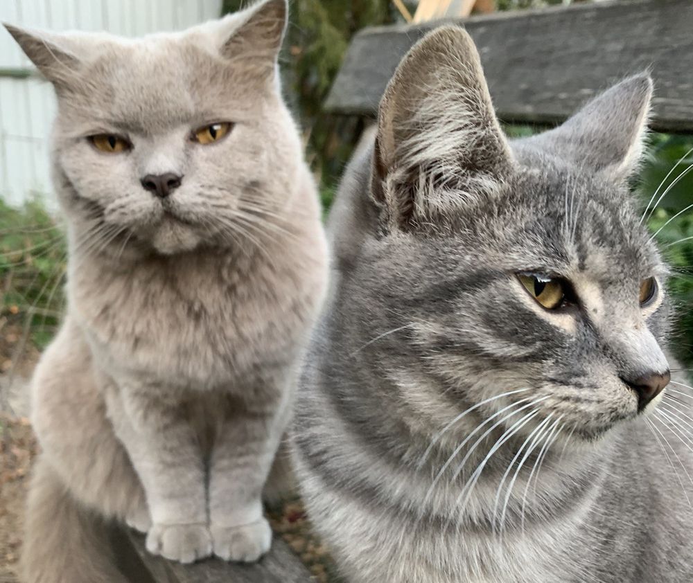 Photograph by Борис Соколов