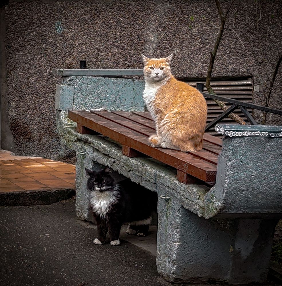 Photograph by Дайана