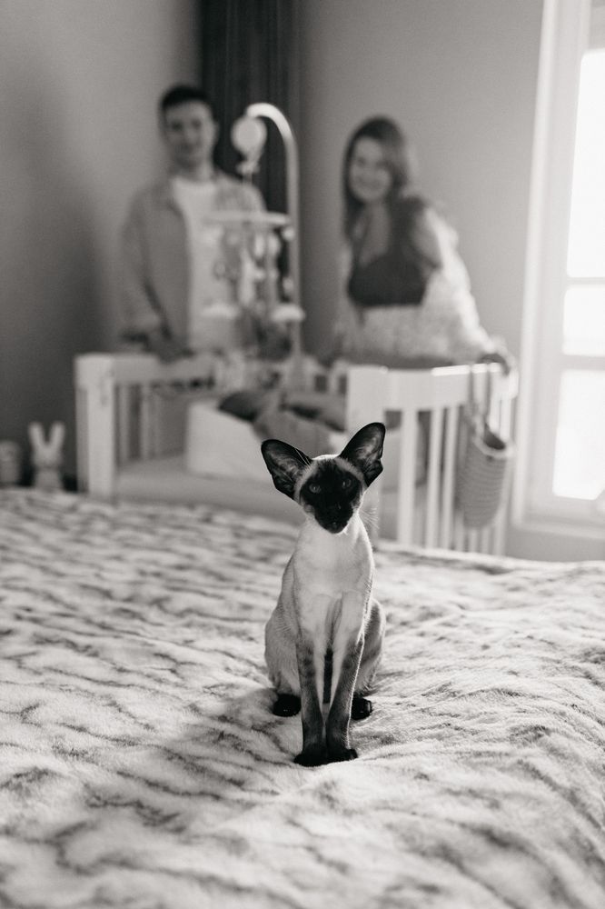 Photograph by Олеся Хоменко