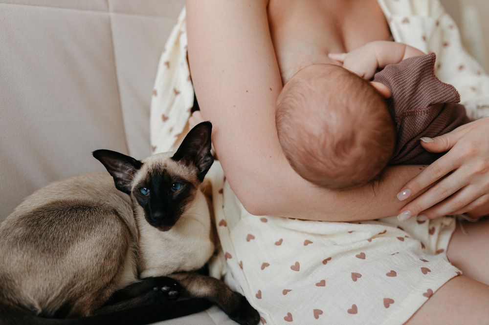 Photograph by Олеся Хоменко