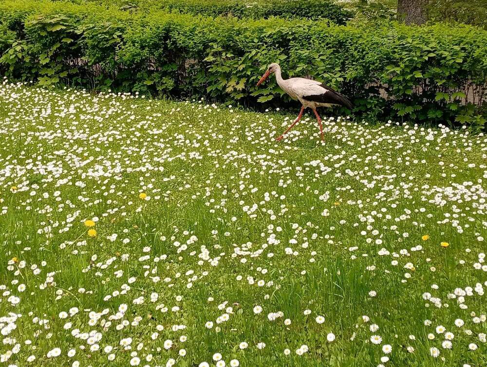 Приятная прогулка.