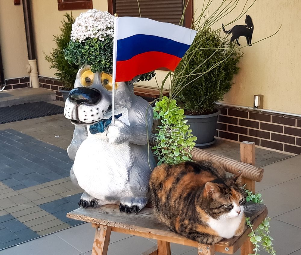 Photograph by Надежда Аксенова
