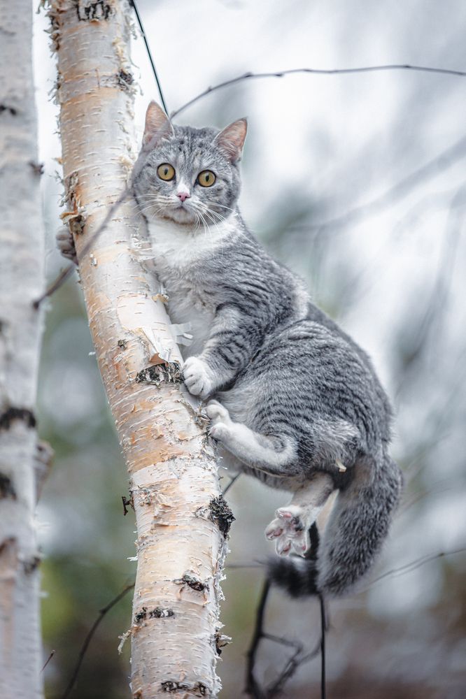 Photograph by Григорий Шишонков