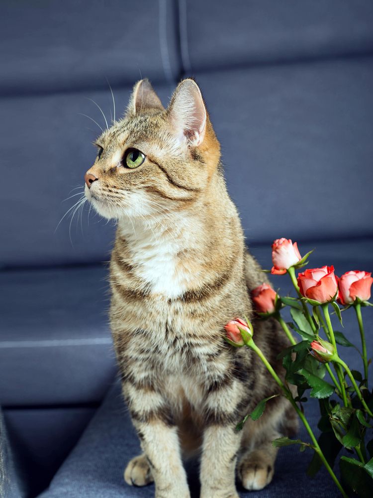 Photograph by Ангела Честнова