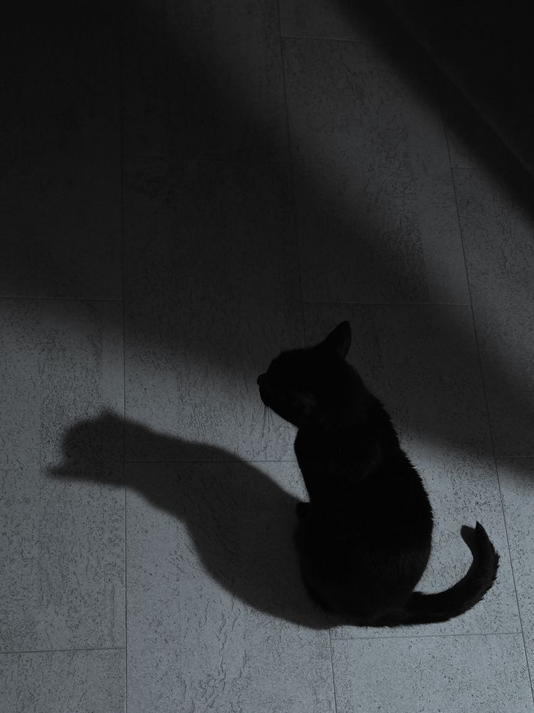 Photograph by Ольга Дёмина