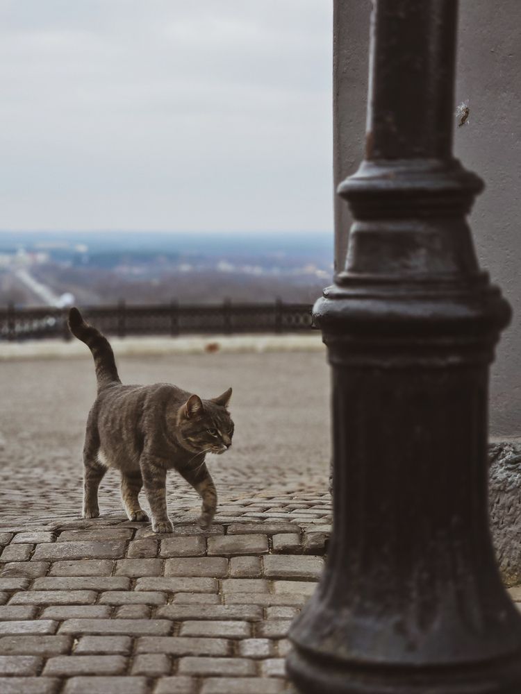 Photograph by Ольга Дёмина