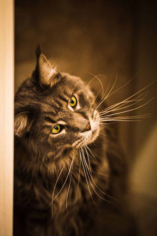 Фотография автора Zhenia Vladimirova