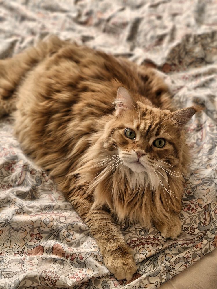 Photograph by Angelica Medvedeva