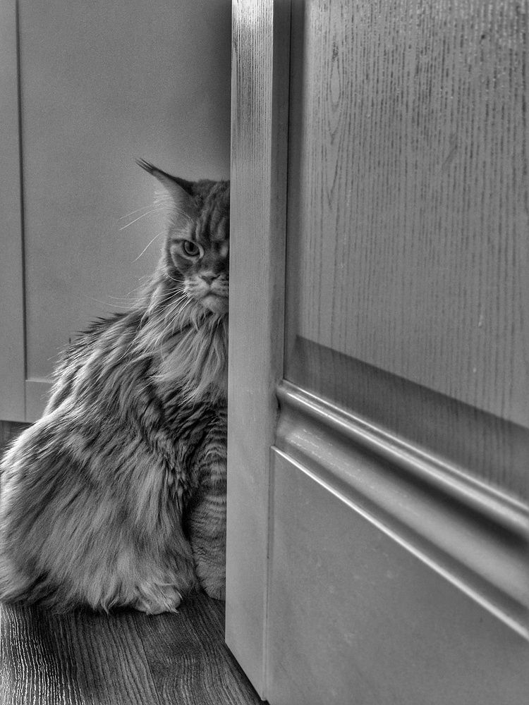 Photograph by Angelica Medvedeva