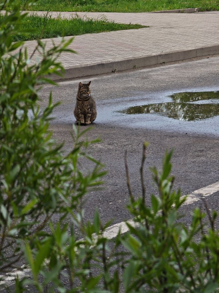 Фотография автора Наташа Данилова