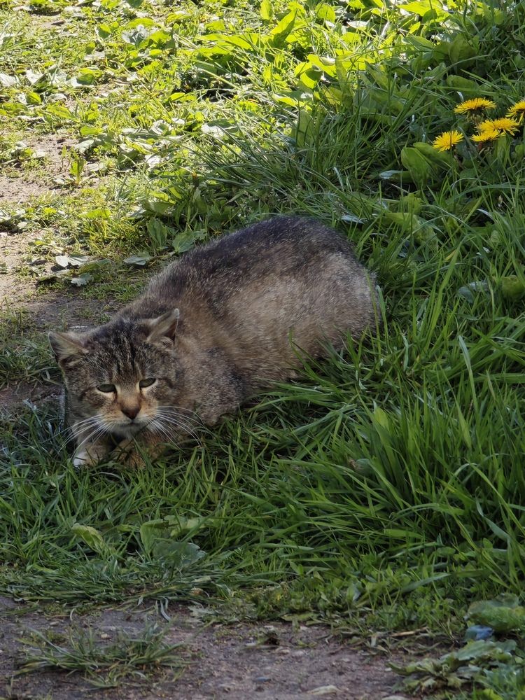 Фотография автора Наташа Данилова