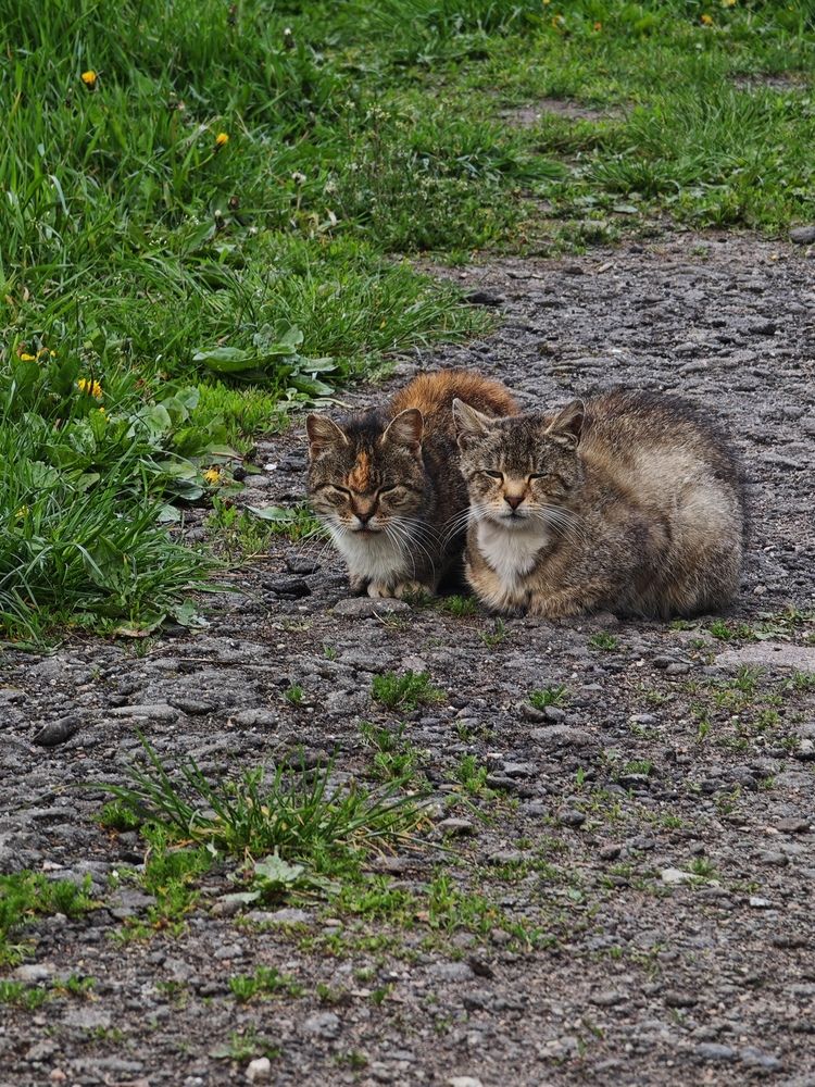 Фотография автора Наташа Данилова