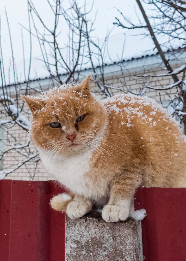 Photograph by Алексей Крукович