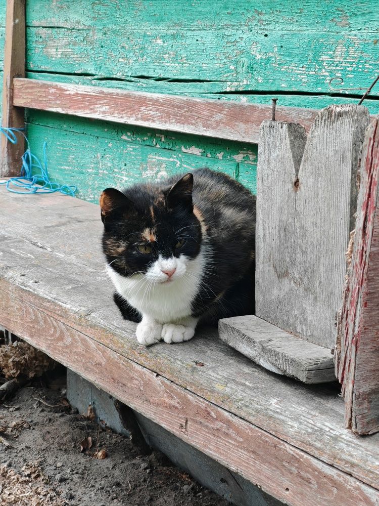 Photograph by Алексей Крукович