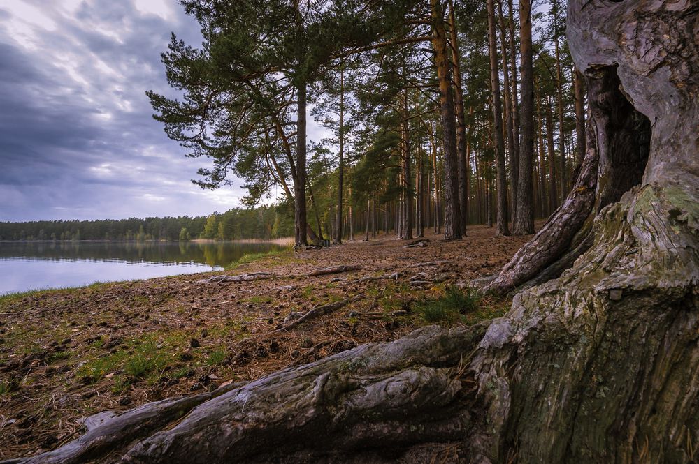 Photograph by Олег Бабурин
