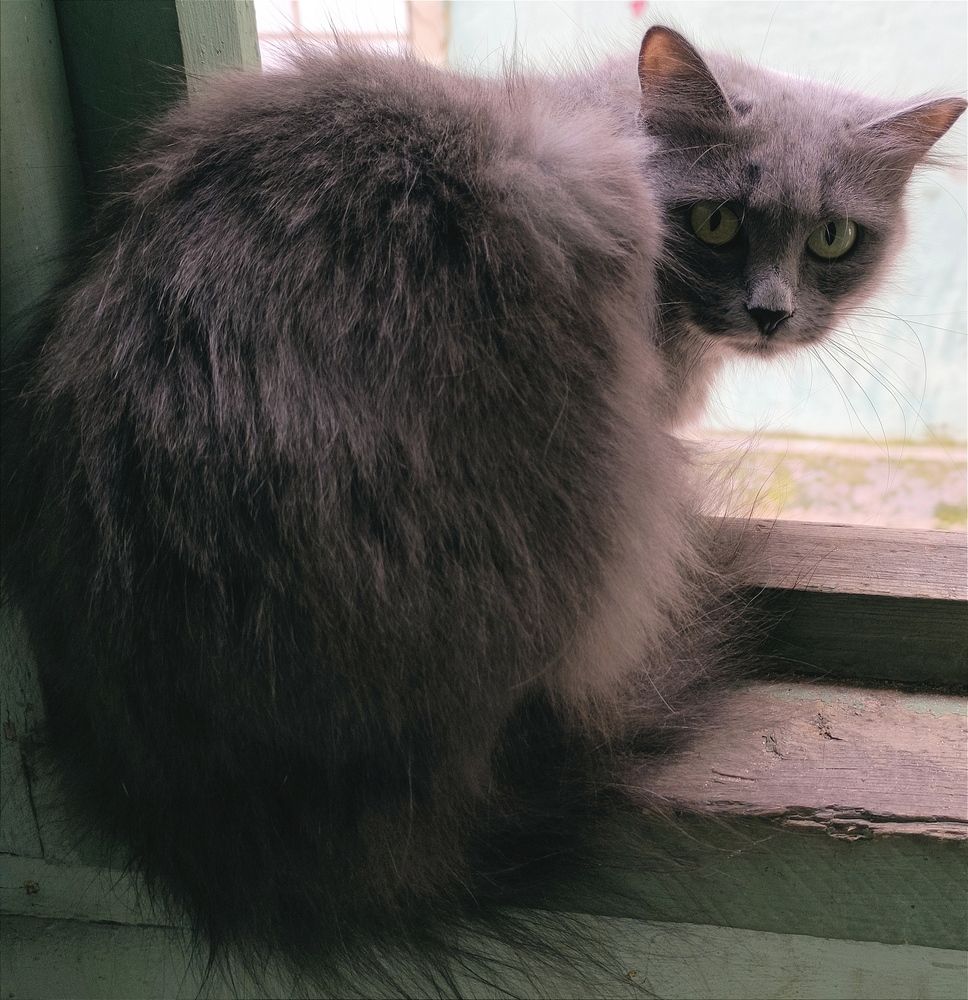 Photograph by Александр Малютин