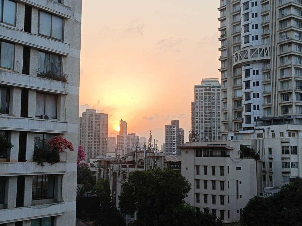 Photo #12211804