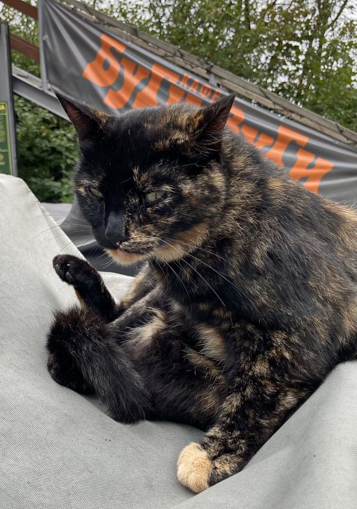 Буги-Вуги...