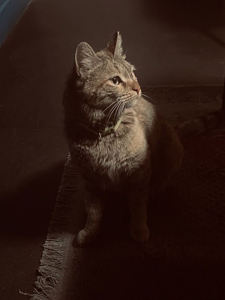 Photograph by hamid Rezaei