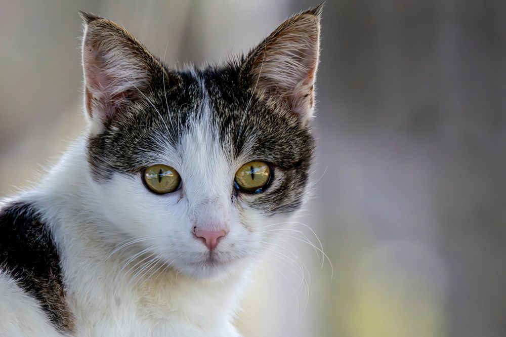 Photograph by Волынский Виктор