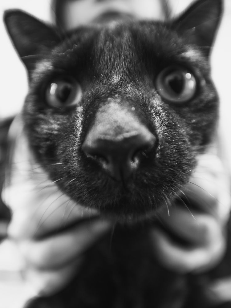 Photograph by Vitalij Bobrovic