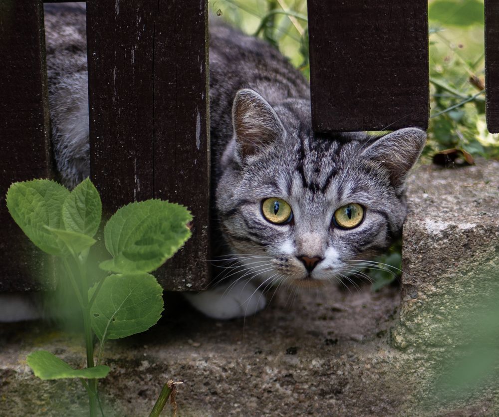 Photograph by Vitalij Bobrovic