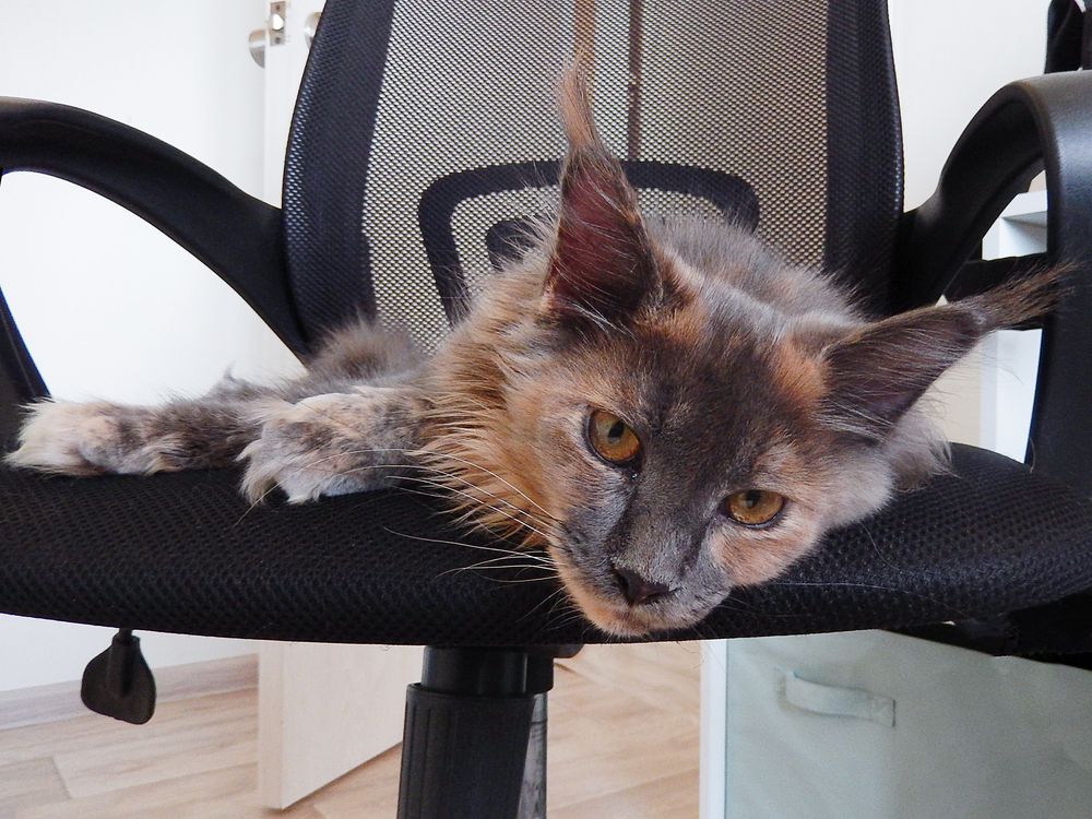 Photograph by Елена Беланенко