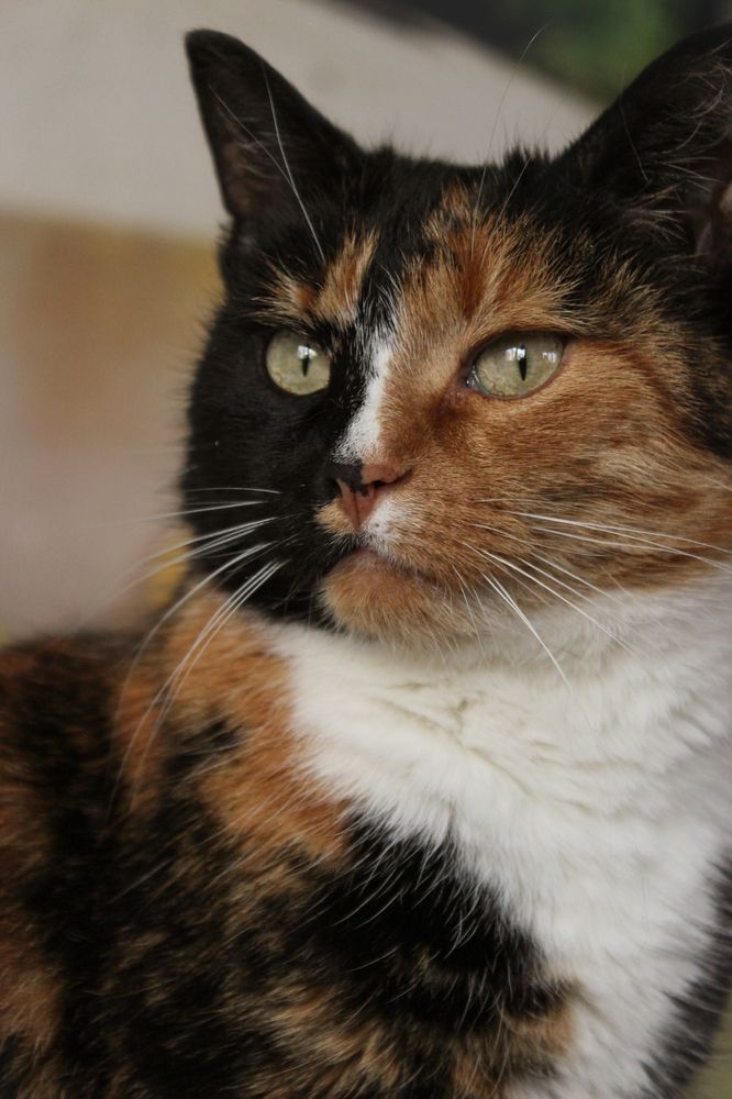 Photograph by Елена Беланенко