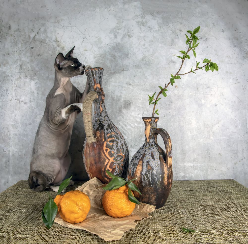 Photograph by Татьяна Феденкова