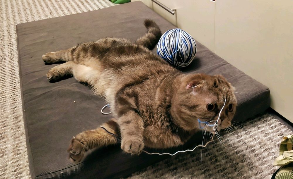 Photograph by Юлия Холомцева