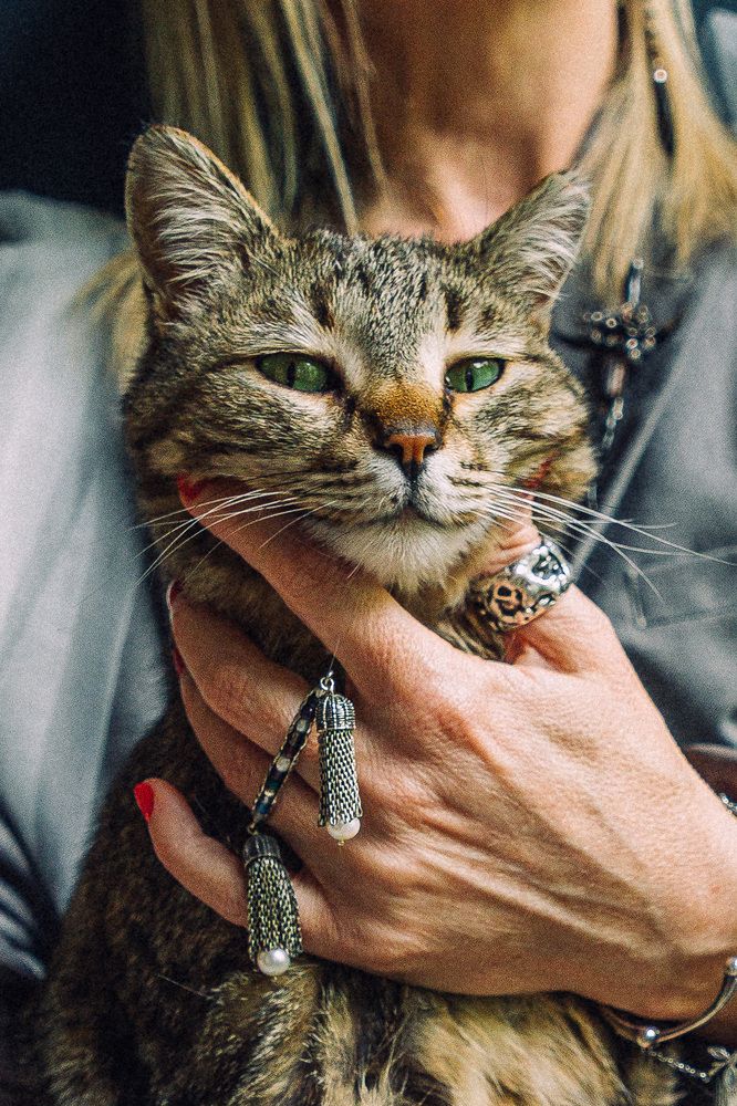 Photograph by Меньшиков Максим