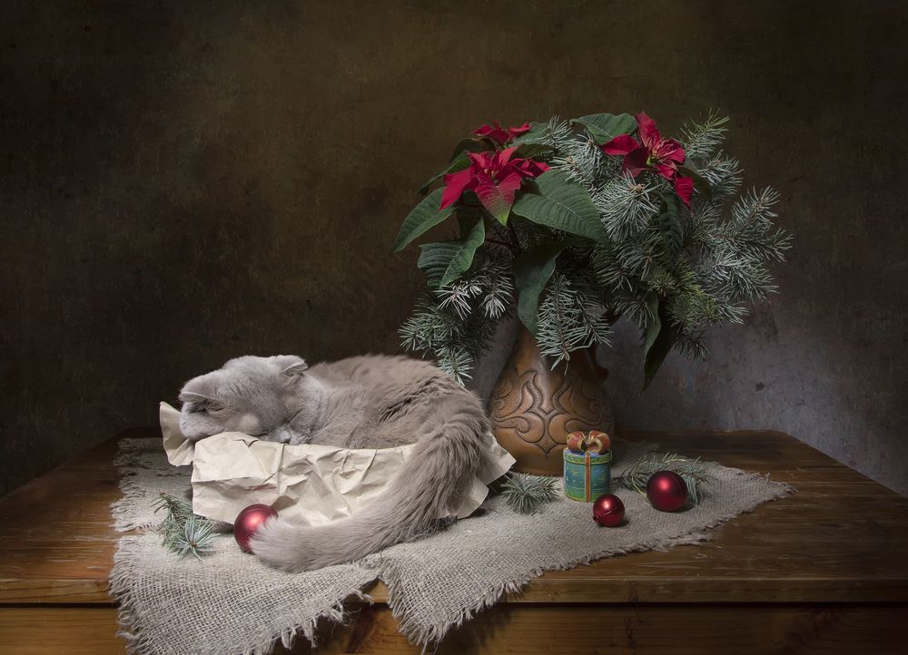 Photograph by Татьяна Феденкова