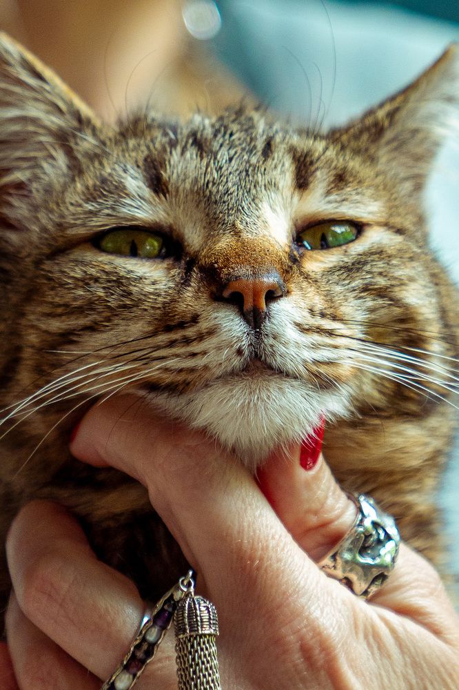 Photograph by Меньшиков Максим