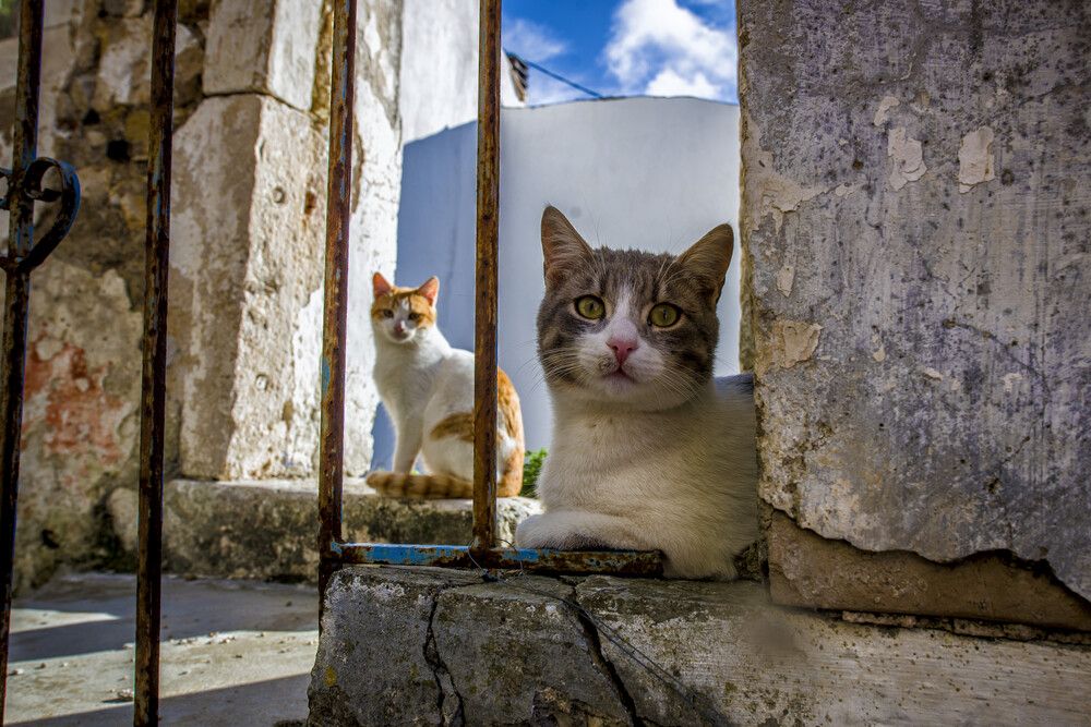 Photograph by Alexandros Melidis