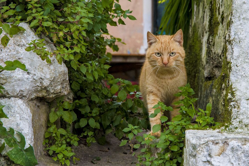 Photograph by Alexandros Melidis