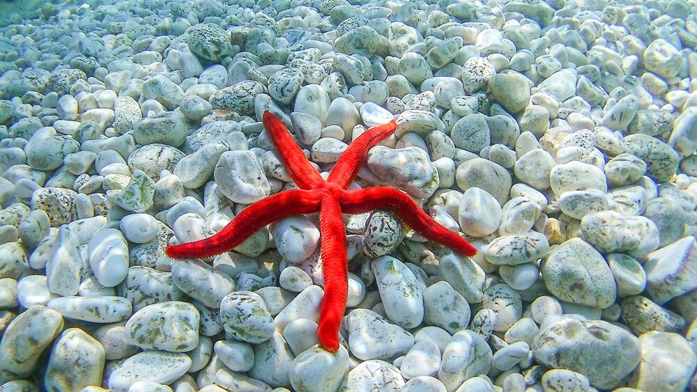 Photograph by Alexandros Melidis