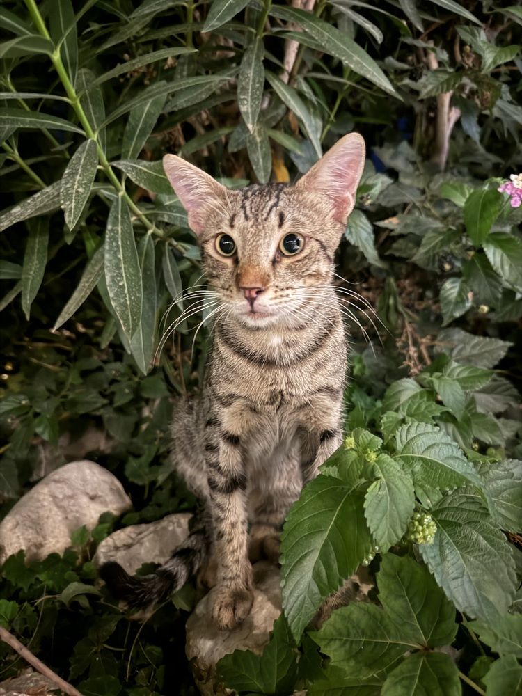 Photograph by Марина Сальникова
