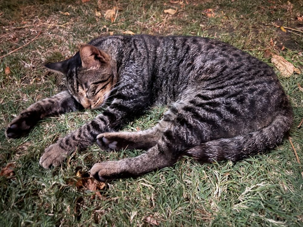 Photograph by Марина Сальникова