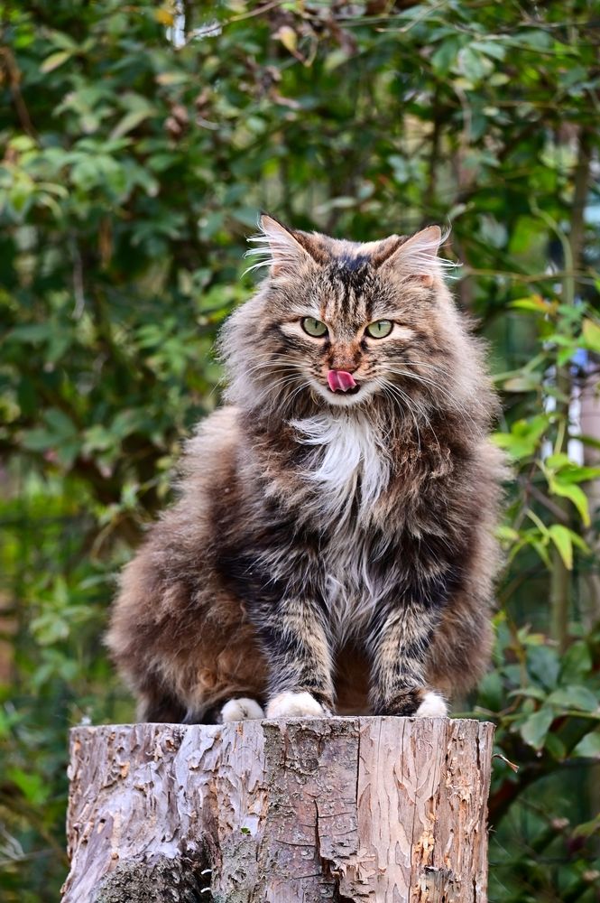 Photograph by Светлана Ивановна