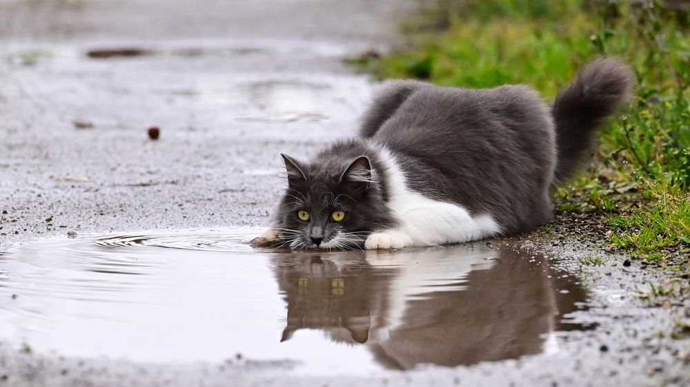 Photograph by Светлана Ивановна