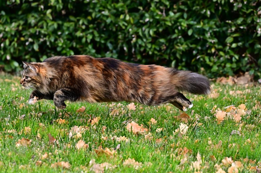 Photograph by Светлана Ивановна