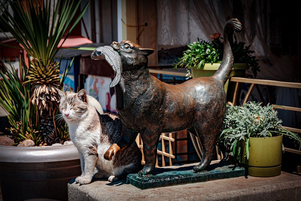 Дружная компания