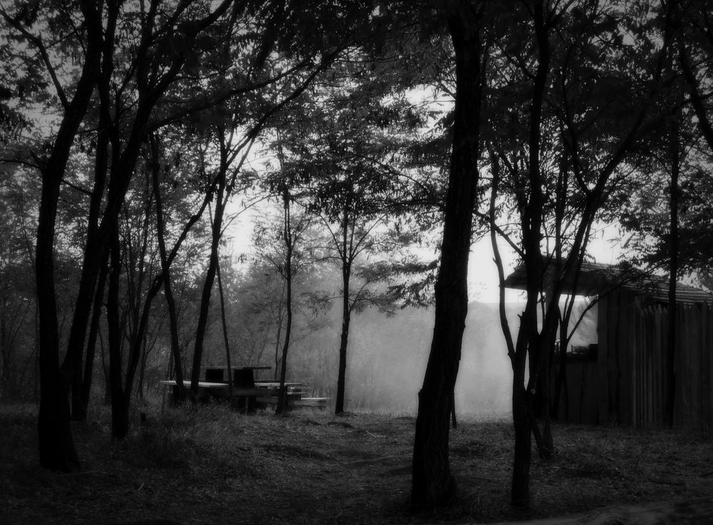 В ожидании дня